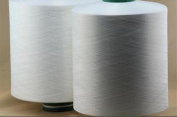 راهنمای انتخاب بهترین ترویرا